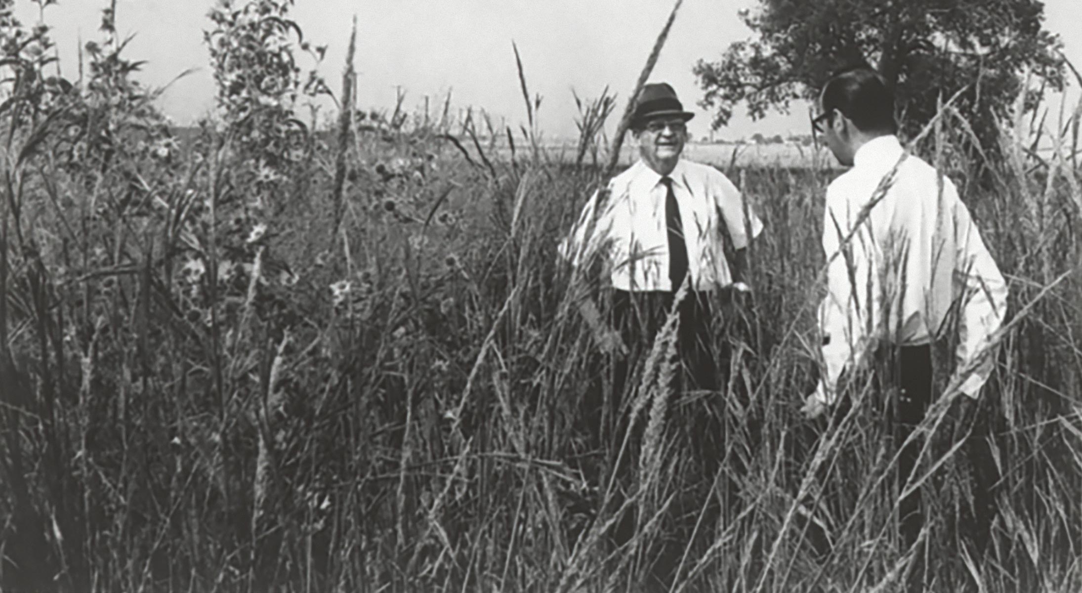 Dr. Cyrus L. Lundell standing in UT Dallas fields