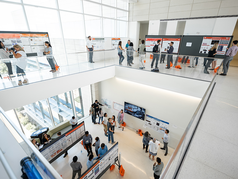 Photo of people gathering around poster displays