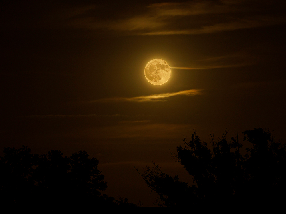 In Focus: UTD President’s Photography Featured