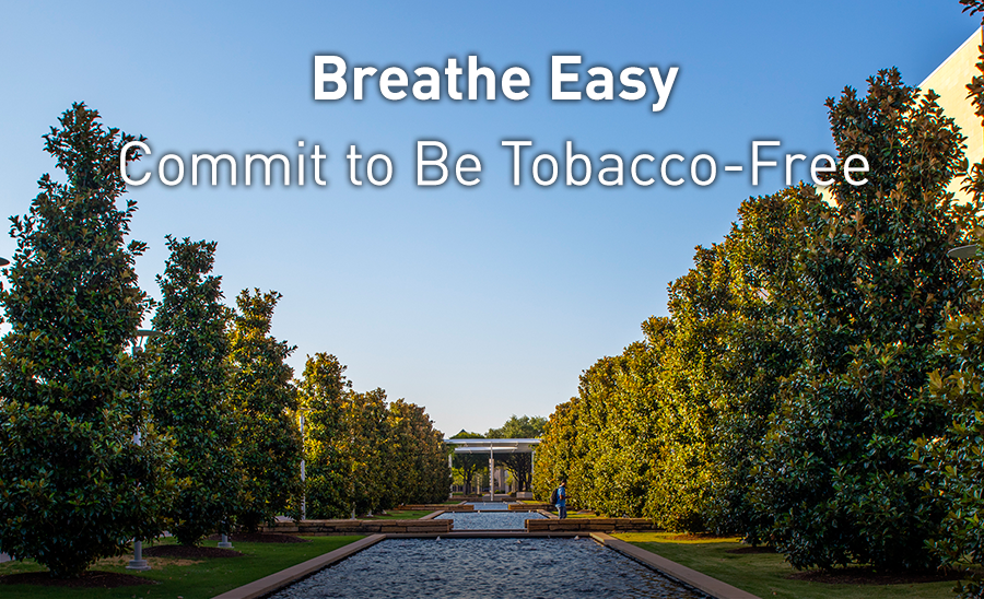 Freedom from Smoking